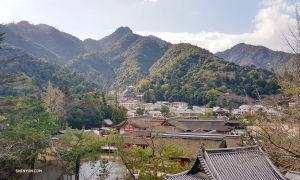 前往日本的嚴島，會欣賞到更多的美景。（攝影：低音提琴家Juraj Kukan）
